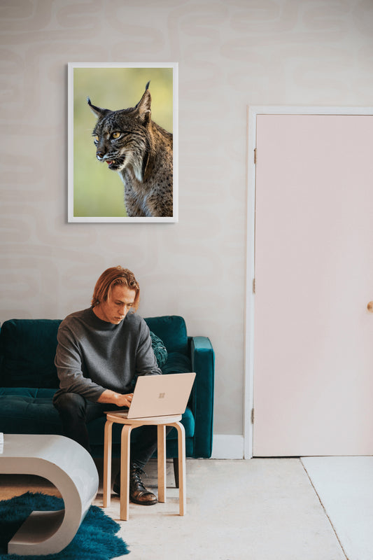 The hunter’s focus