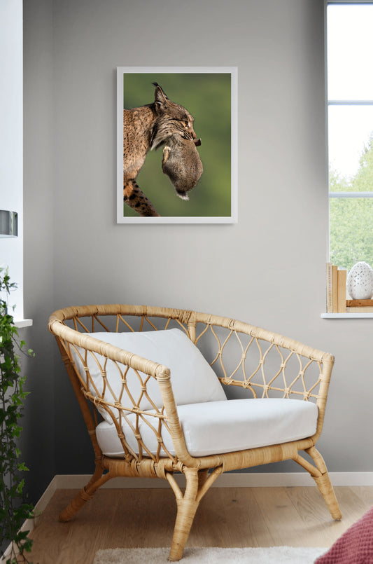 Catch of the morning