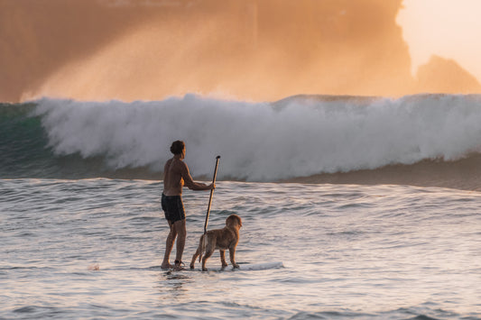 Best surf buddy