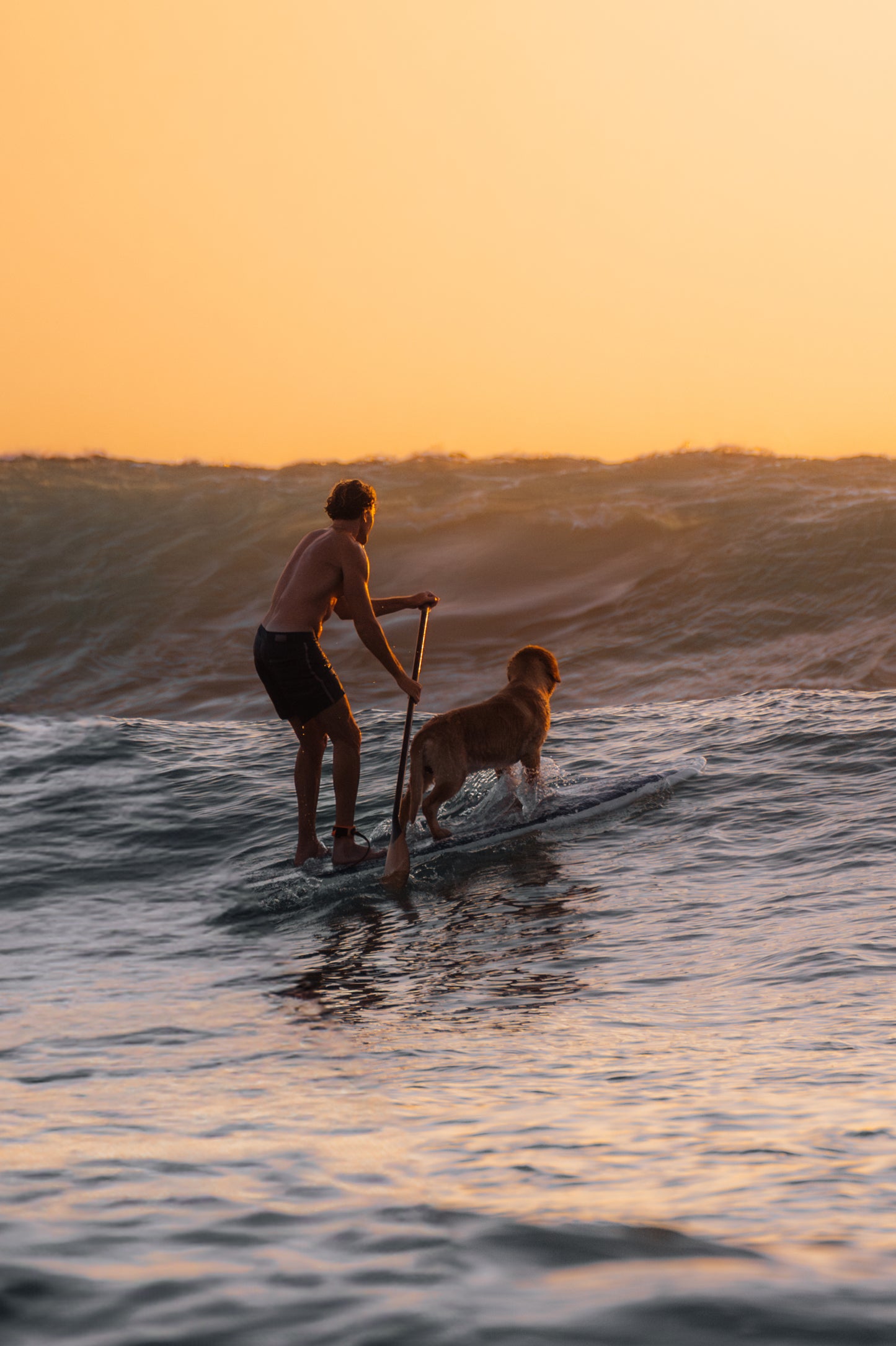 One board, two hearts