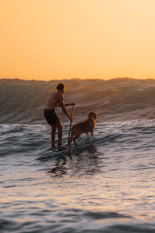 One board, two hearts