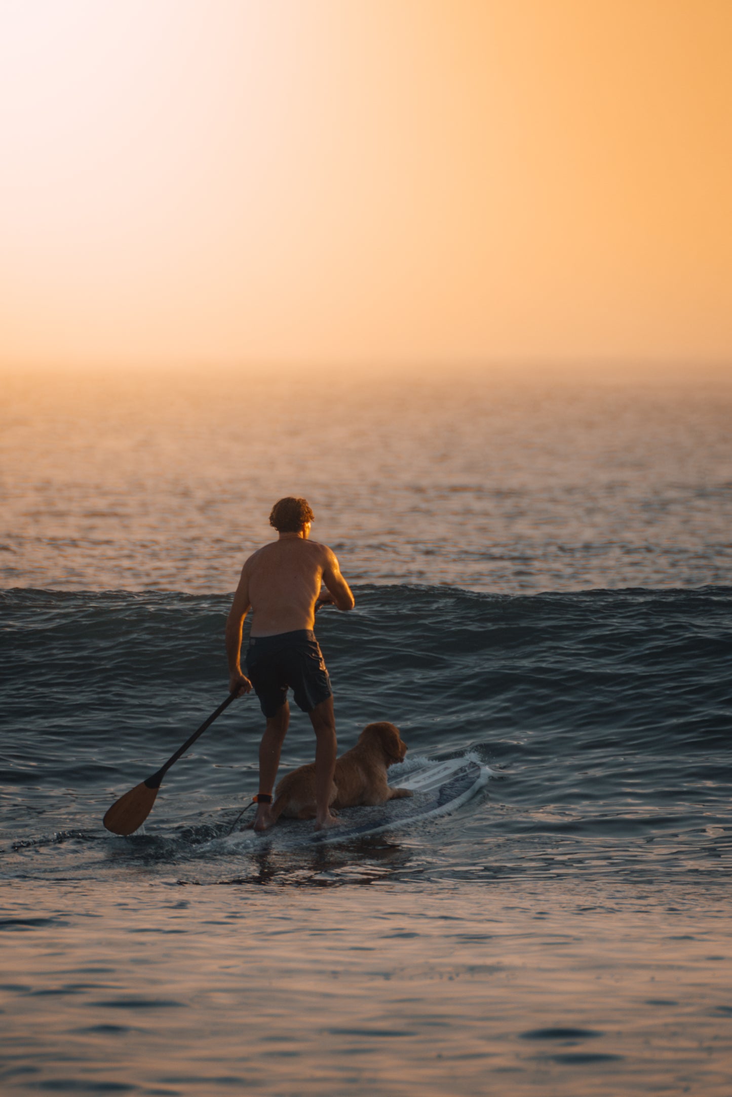 Trust on the tide