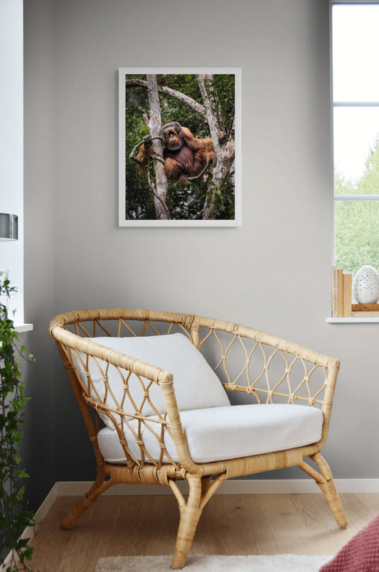 The call of the wild