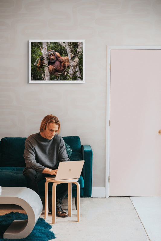 Keeper of the forest