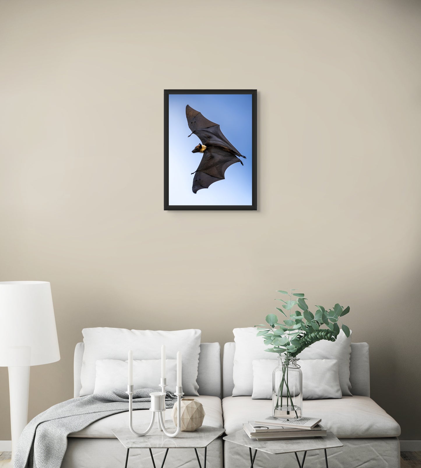 Shadows in flight