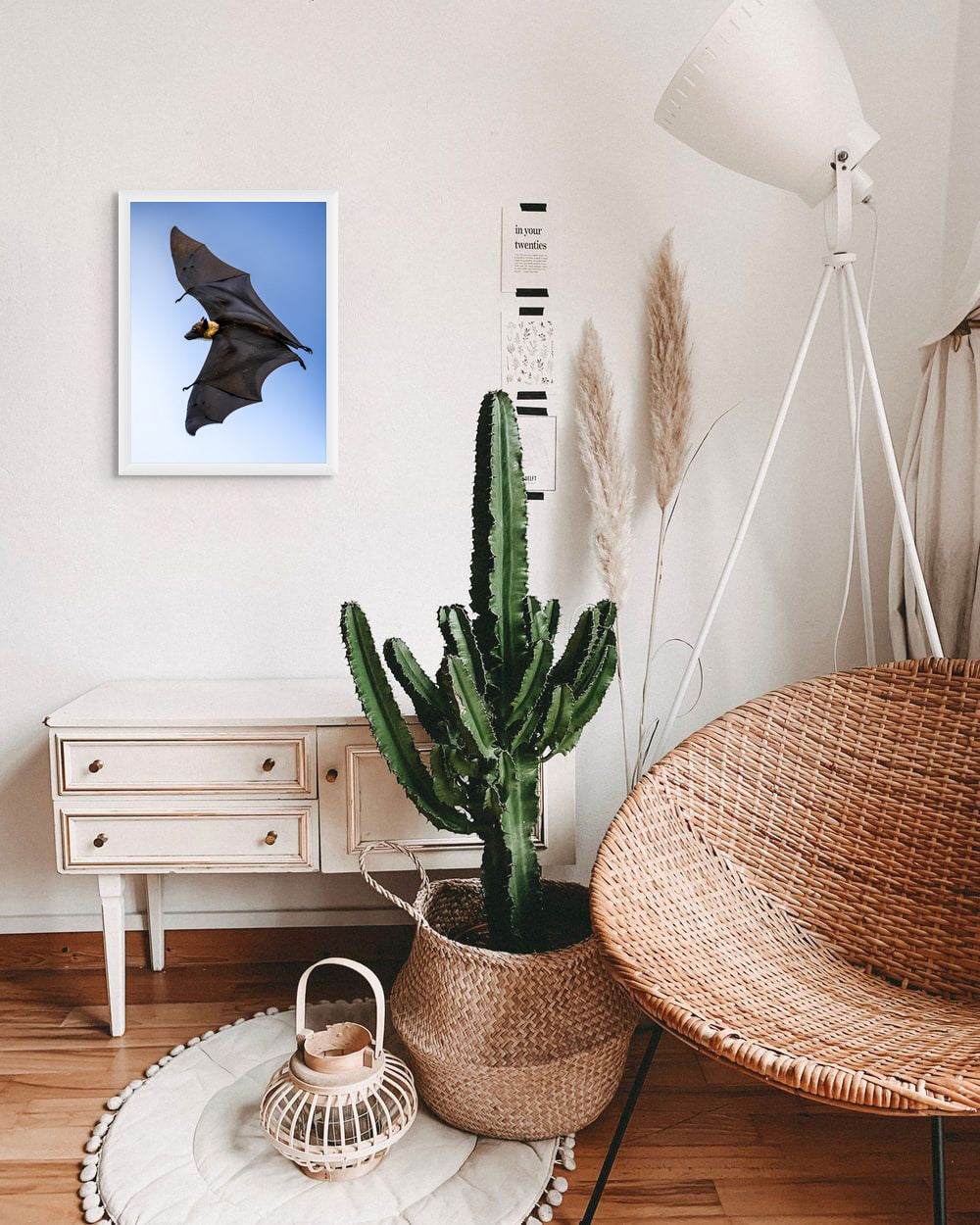 Shadows in flight