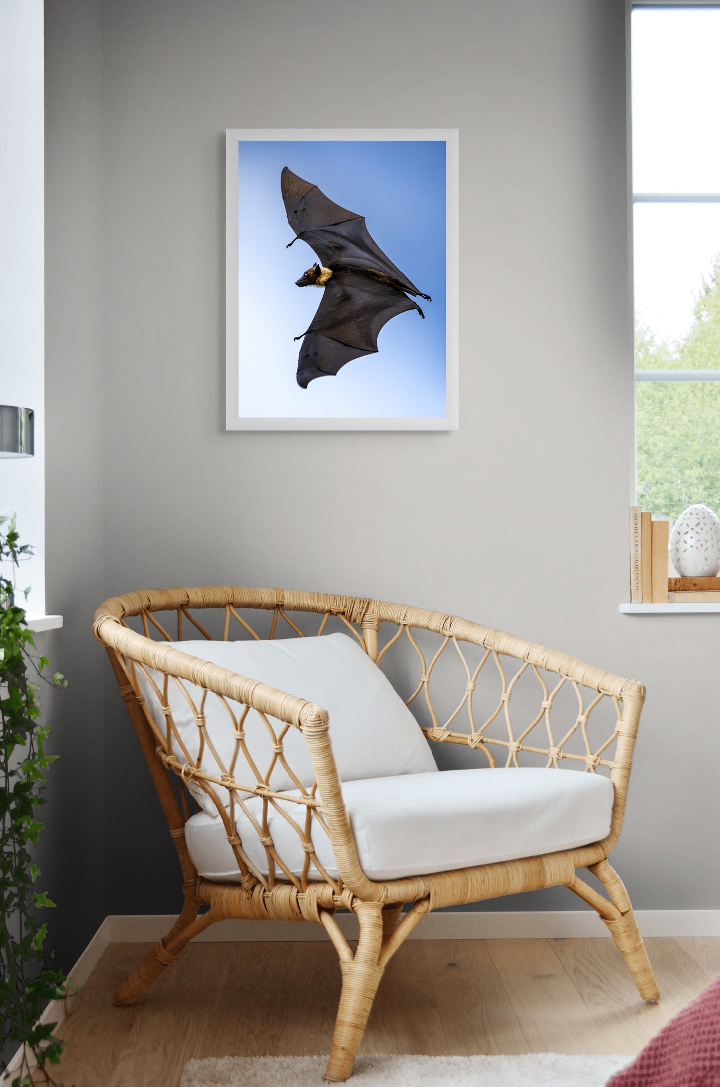 Shadows in flight