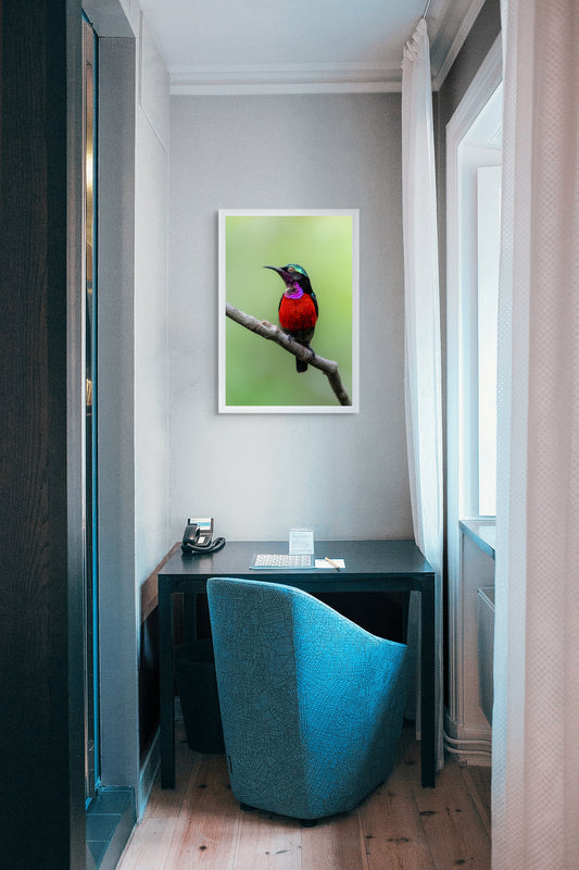 Colors of the forest