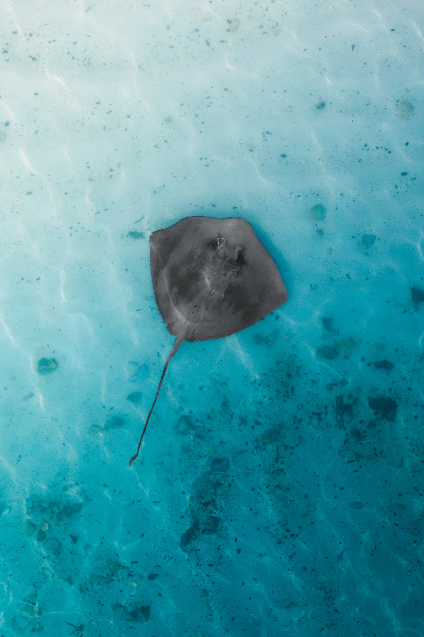 Calm beneath