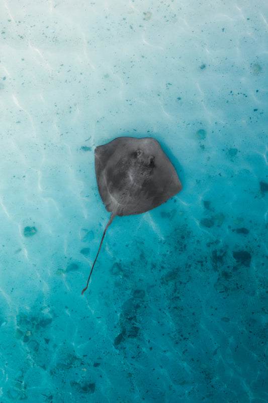 Calm beneath