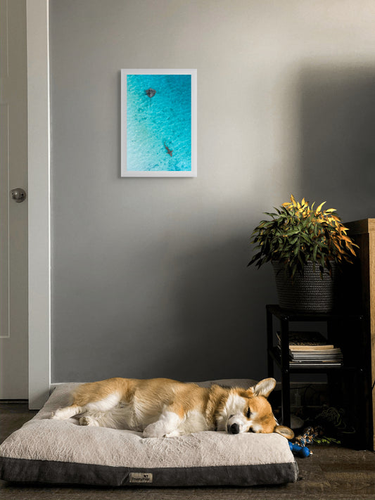 Crossroads in the shallows