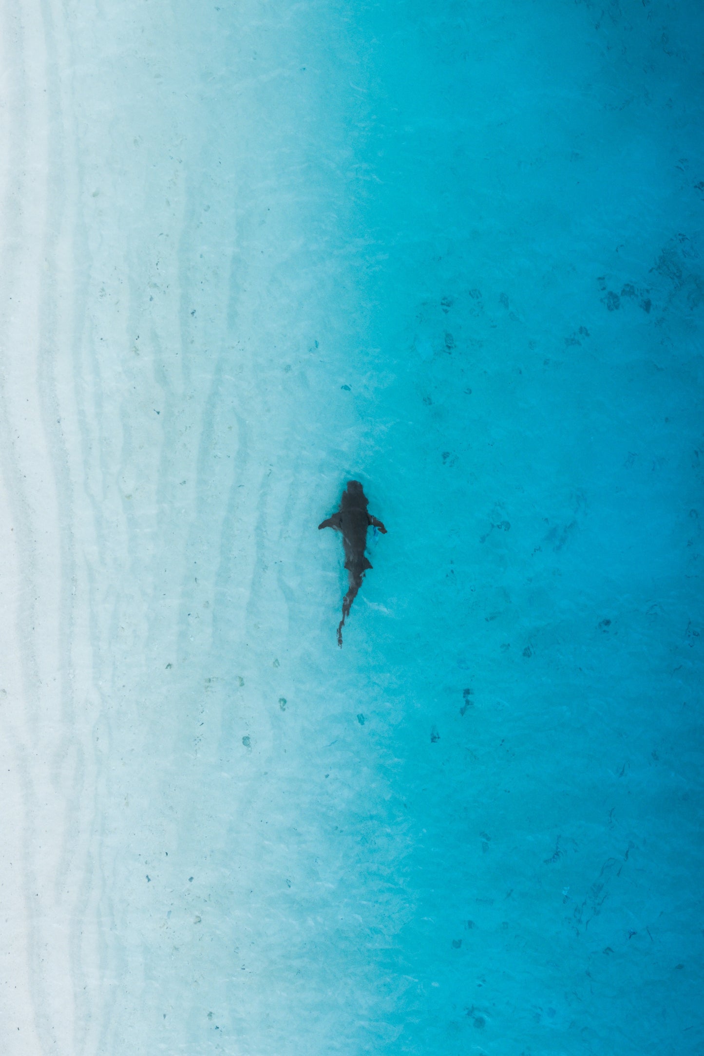 Gradient patrol