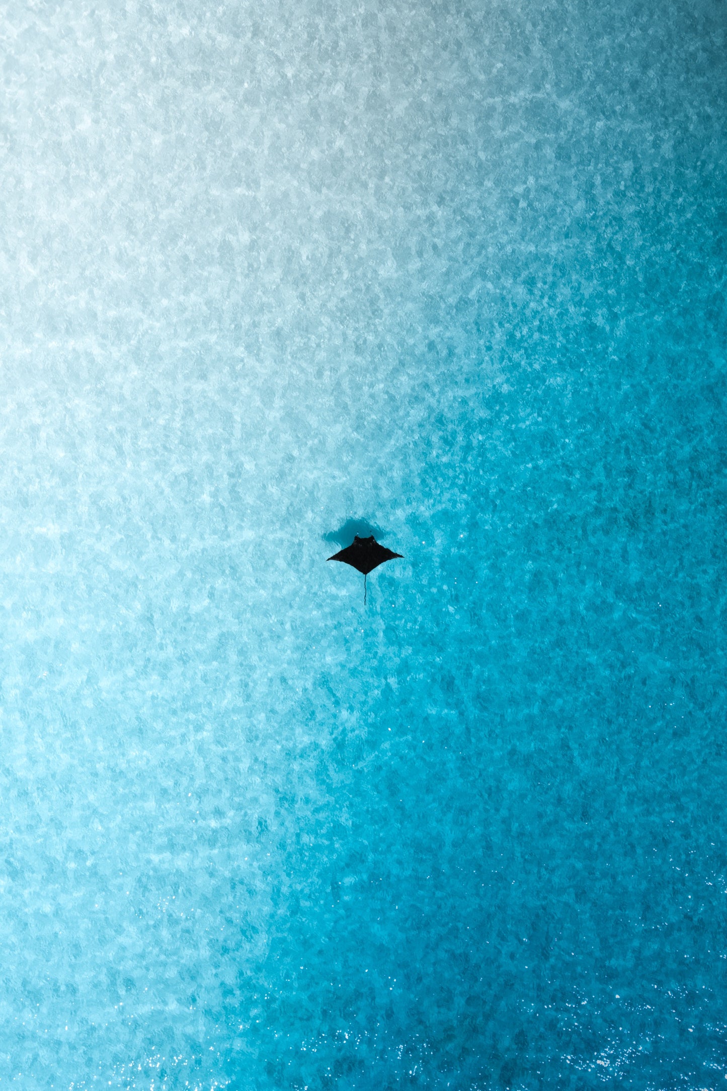 Ocean symmetry