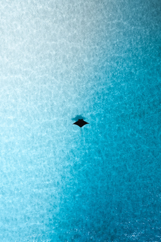 Ocean symmetry