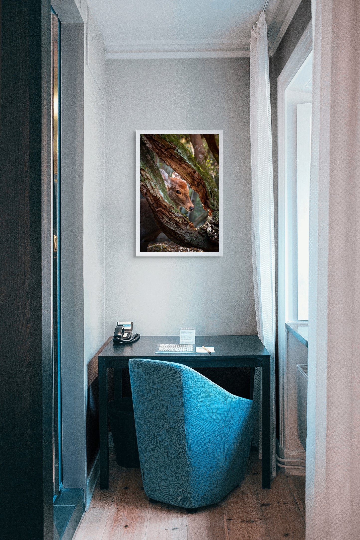 Framed by the forest