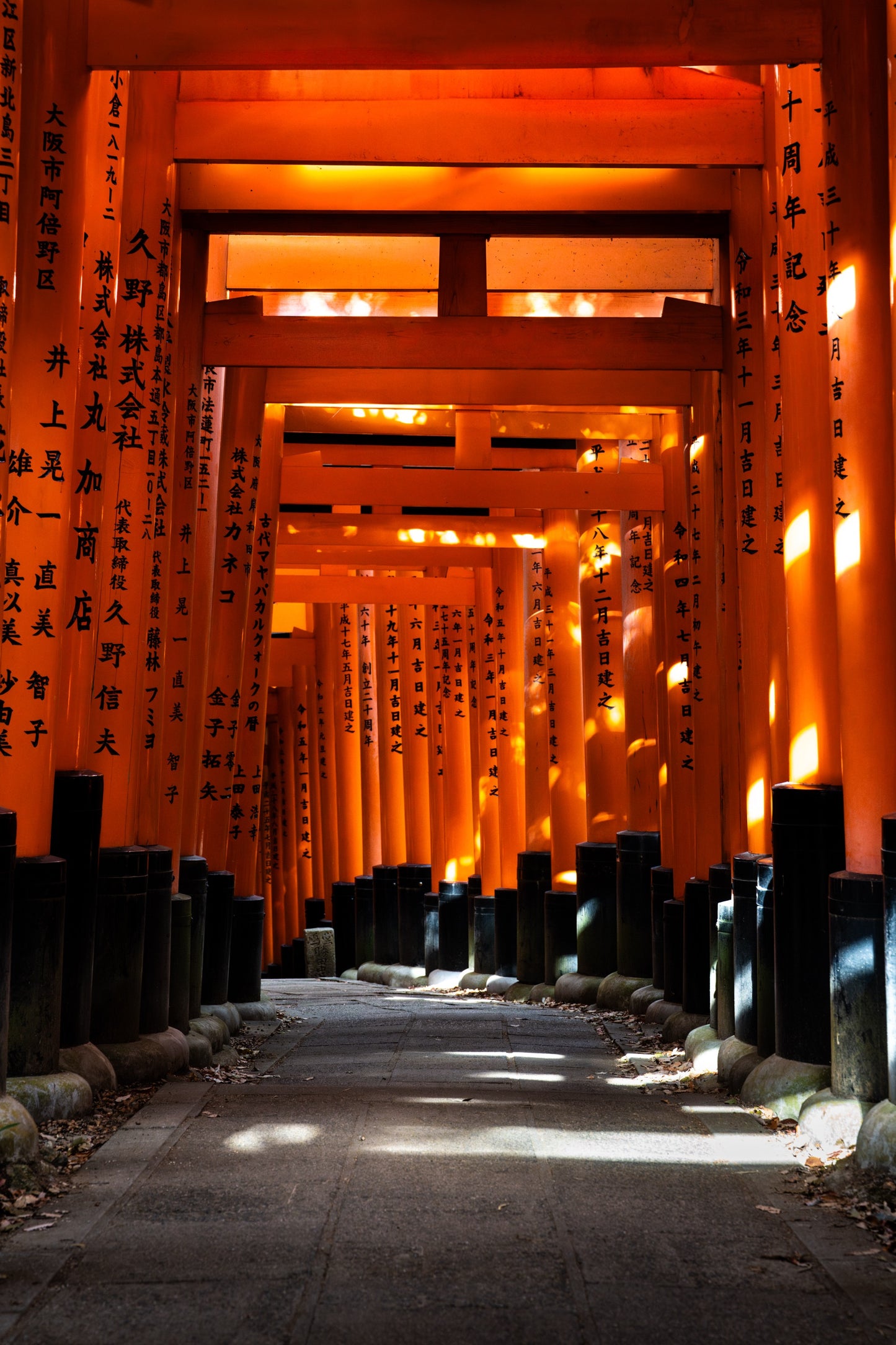 Path of a thousand torii