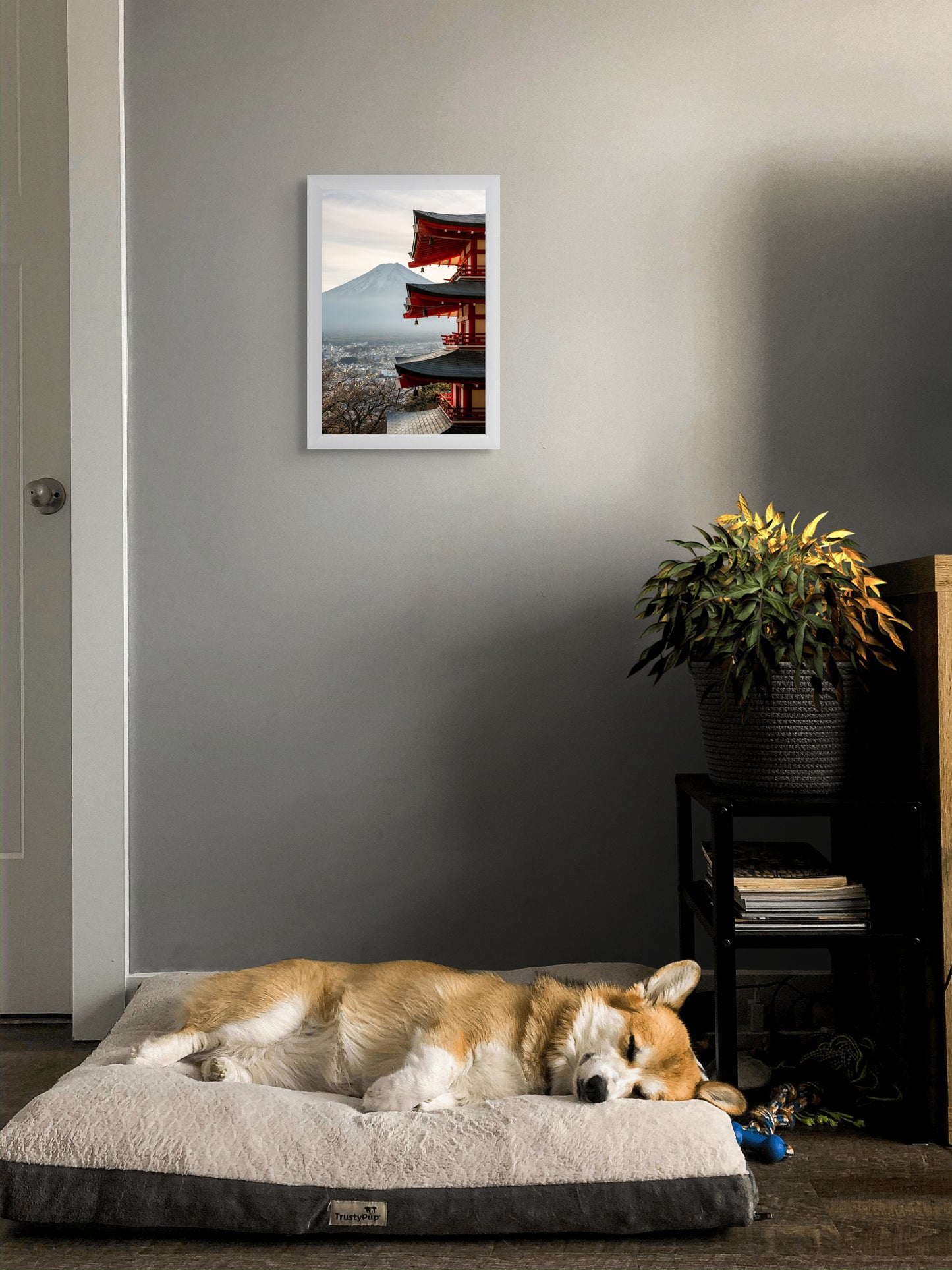 Fuji framed in tradition