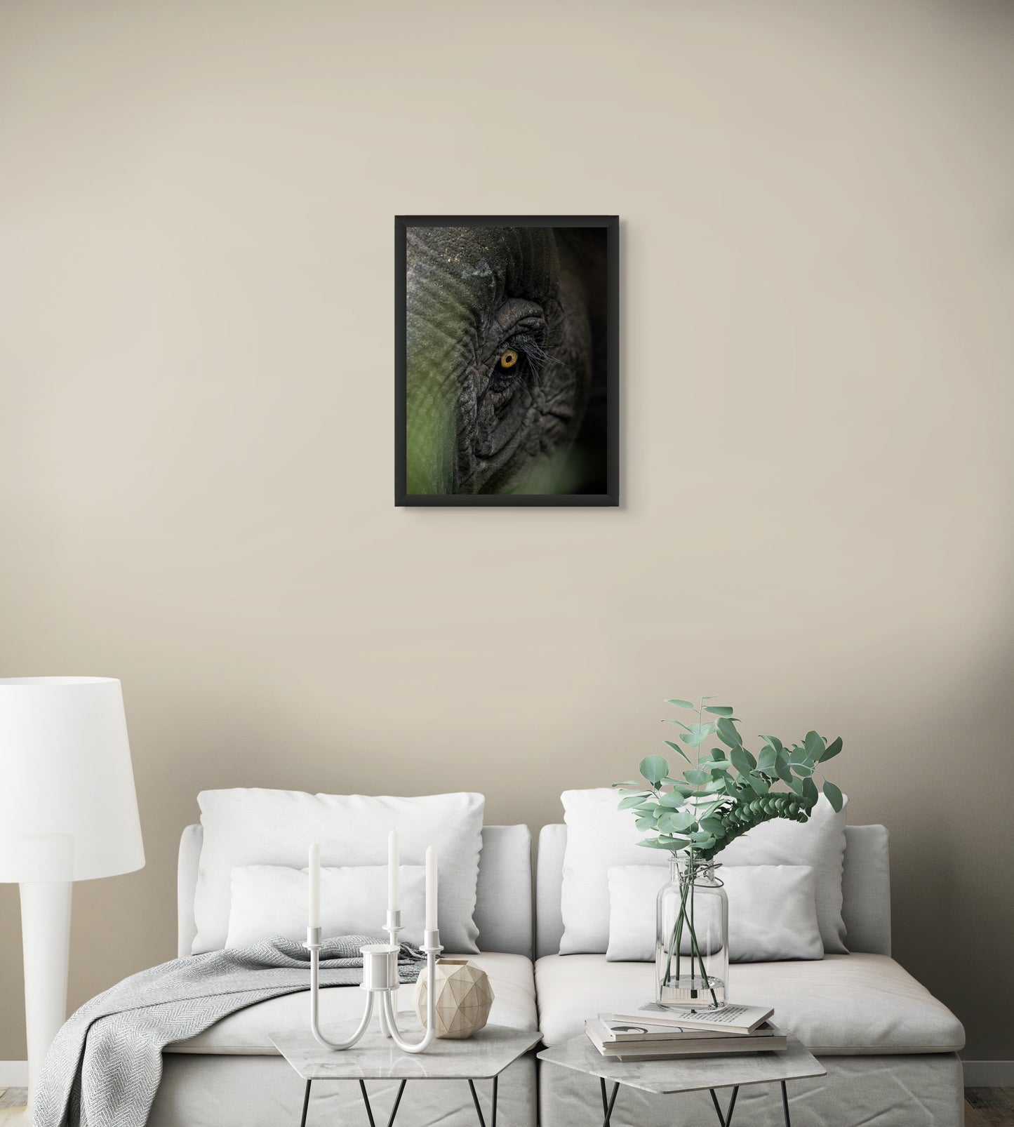 The eye of Borneo