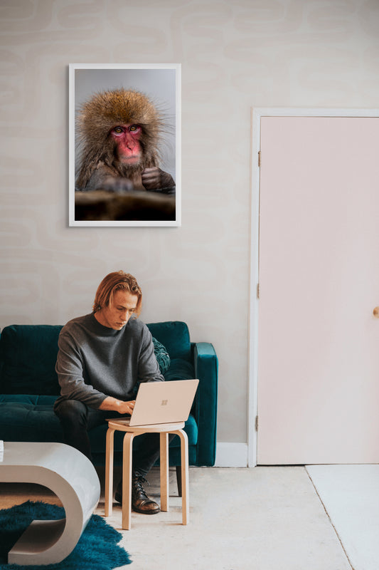 The stare of determination