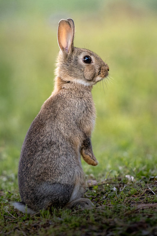 On high alert