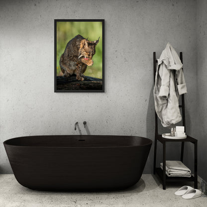 Wild elegance