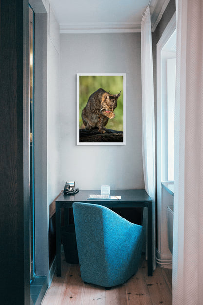 Wild elegance