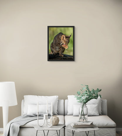 Wild elegance
