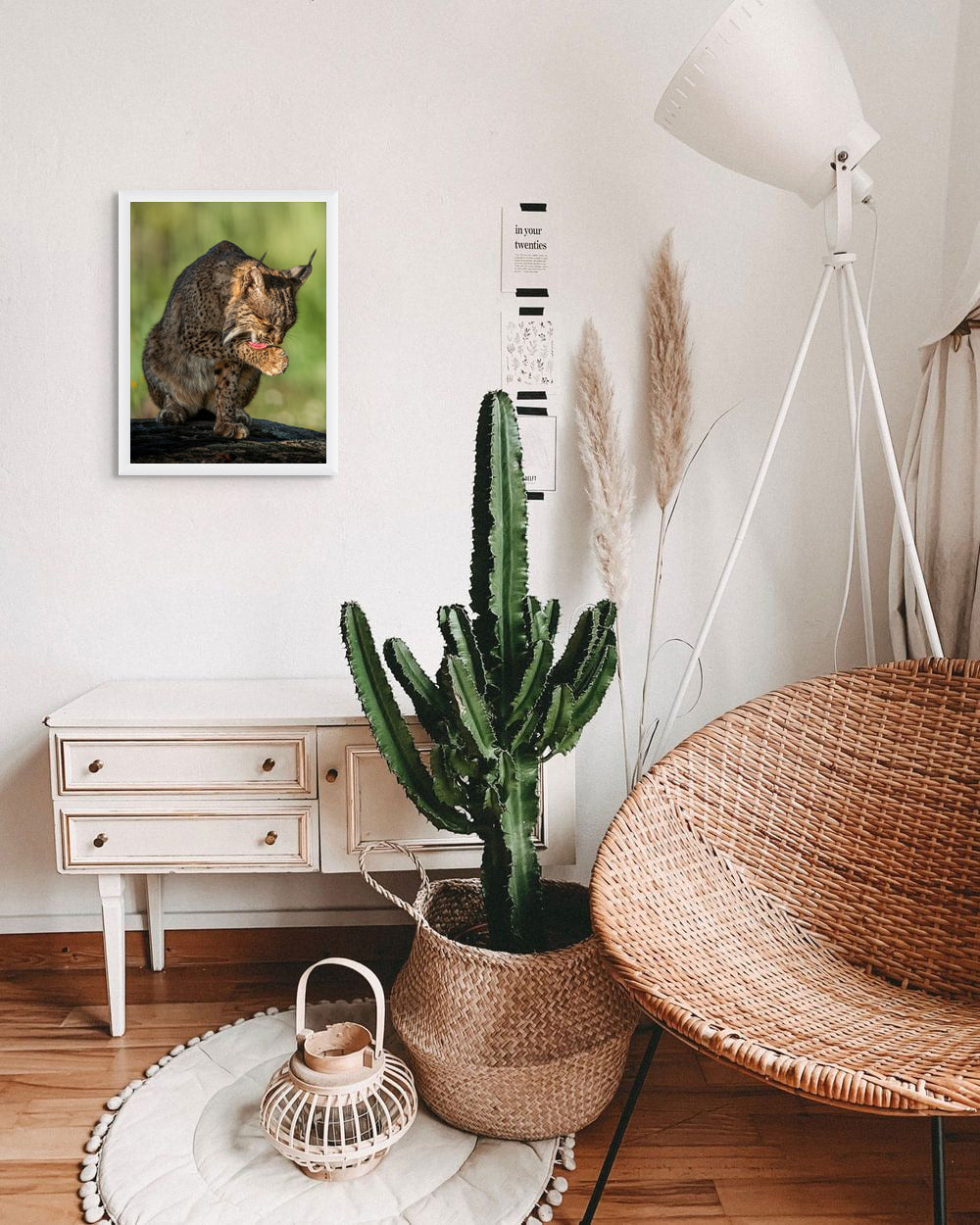 Wild elegance