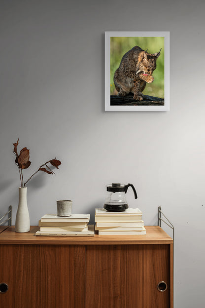 Wild elegance