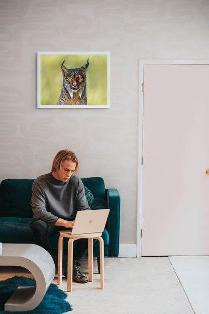 Soul of the lynx
