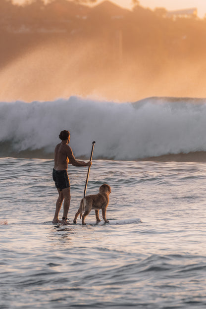 Paws and paddles