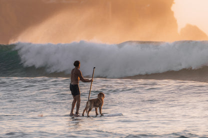 Best surf buddy