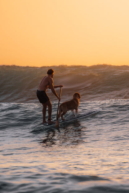 One board, two hearts