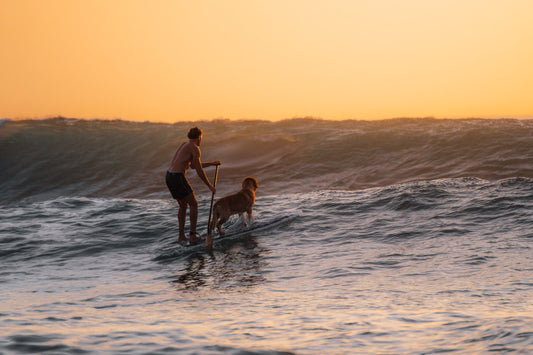 Ocean friendship