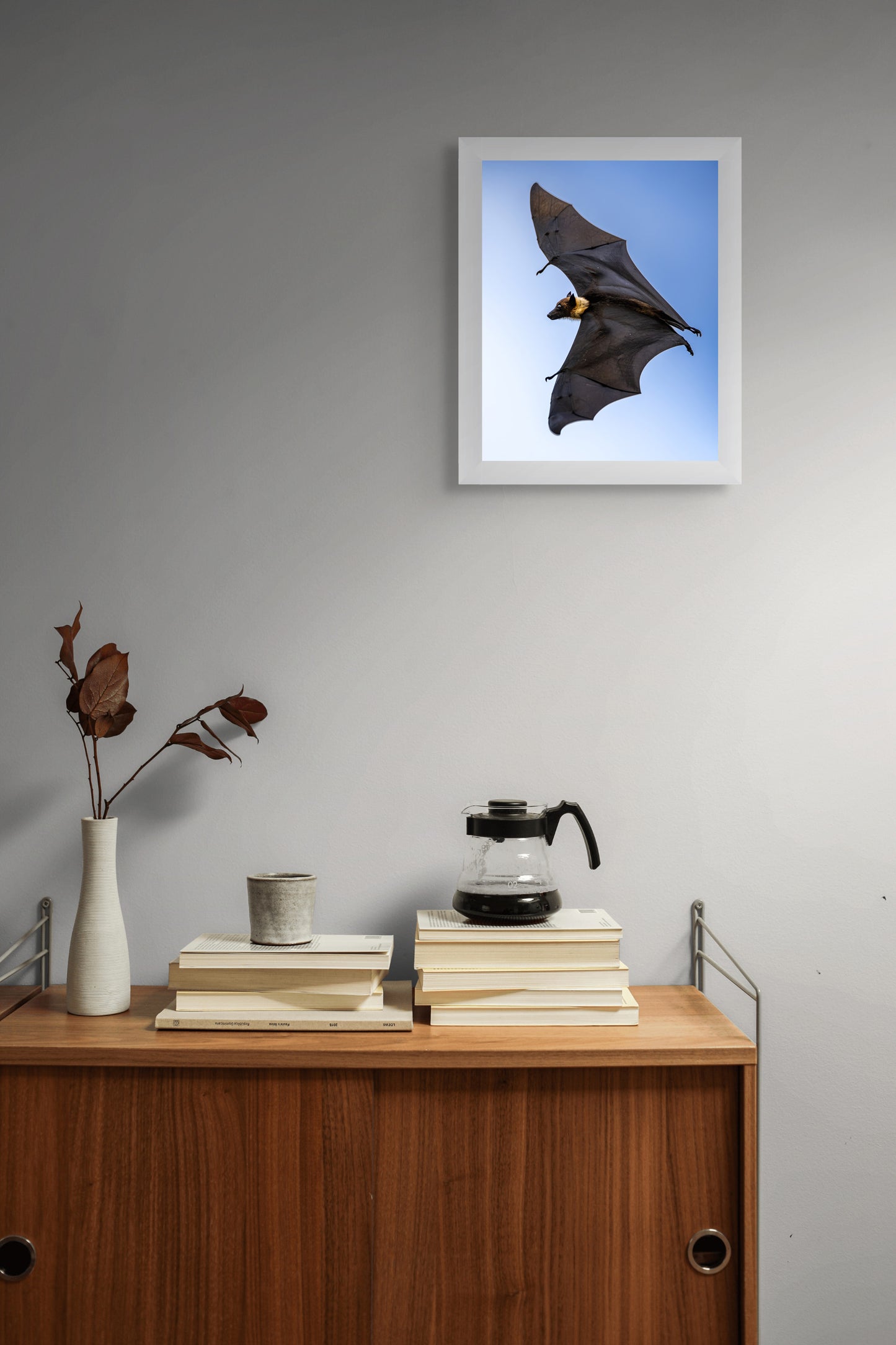 Shadows in flight