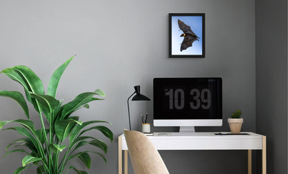 Shadows in flight