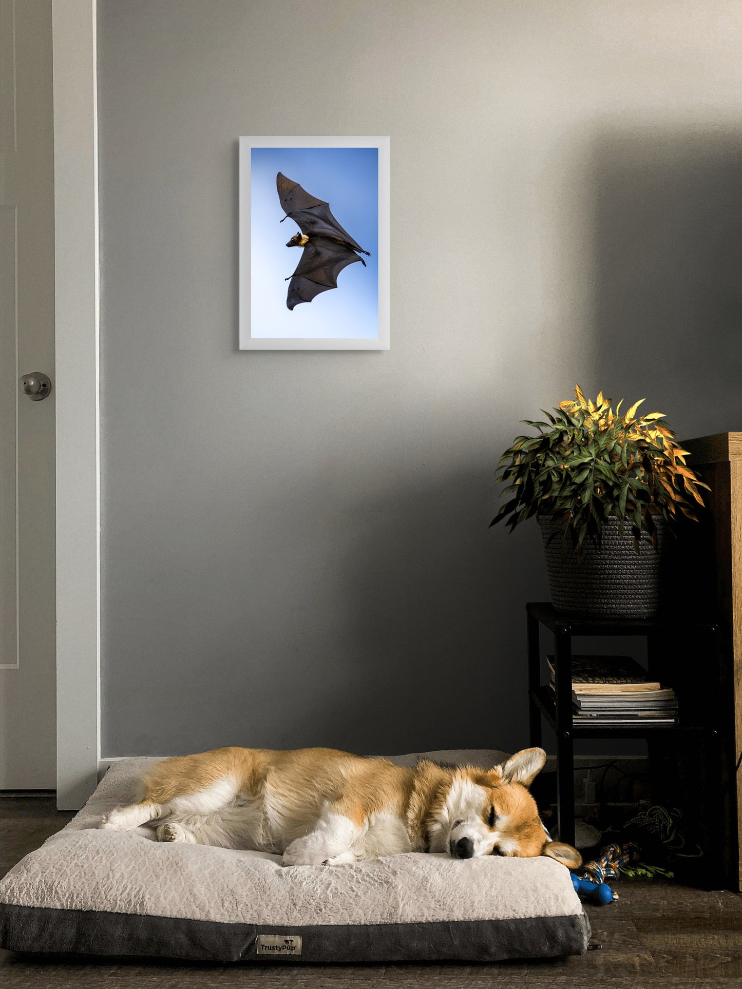 Shadows in flight