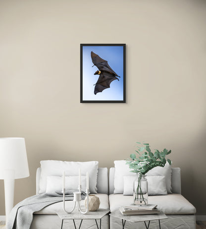 Shadows in flight