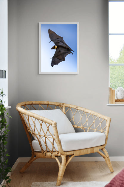 Shadows in flight