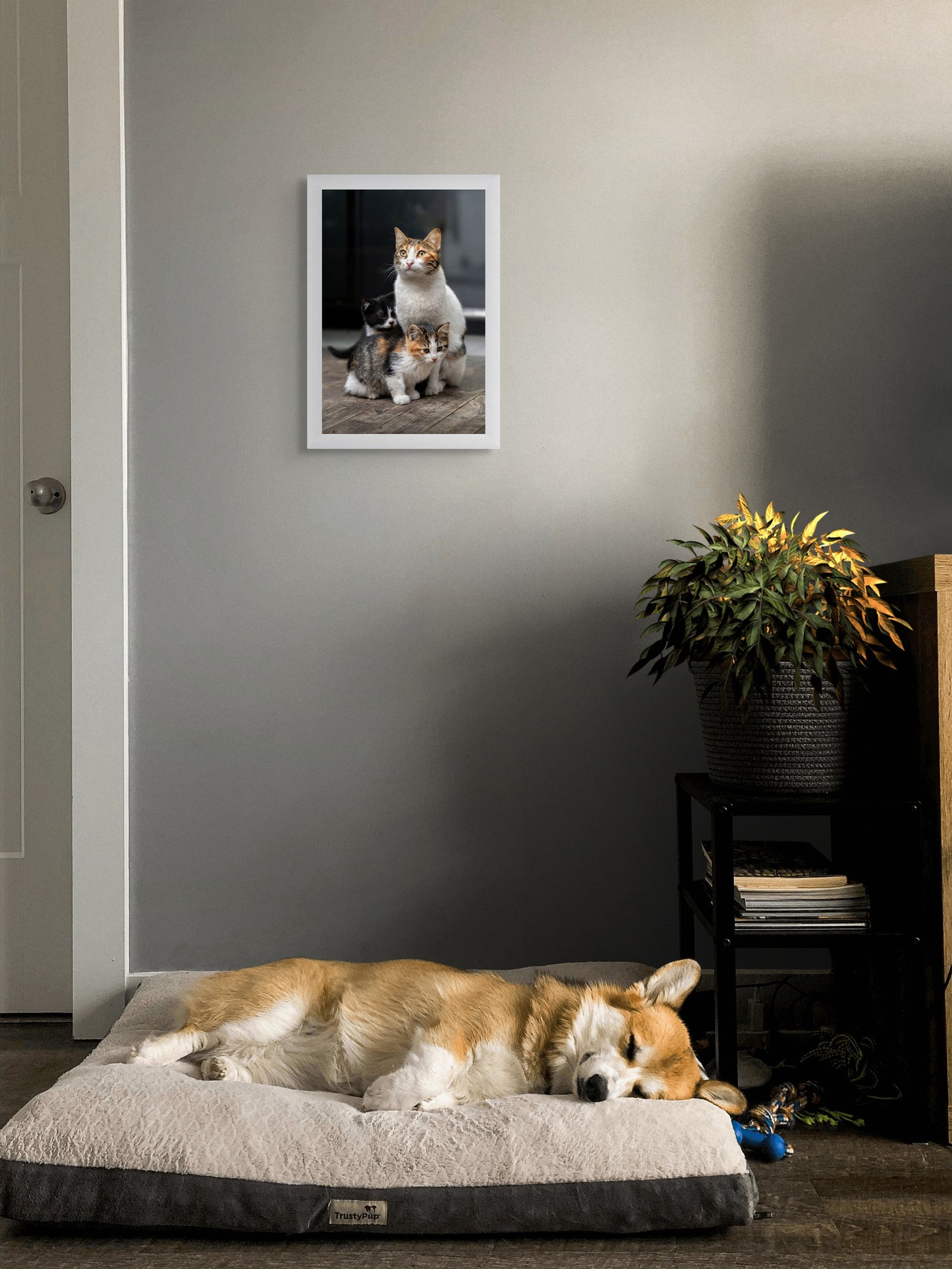 A family portrait