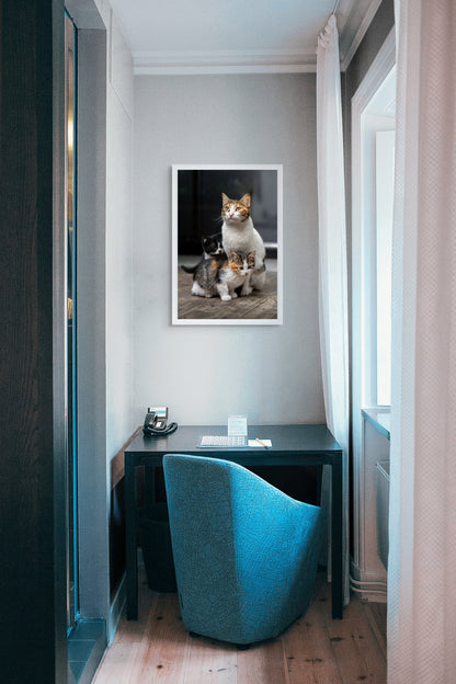 A family portrait