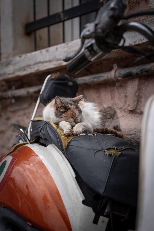 Rust and rest