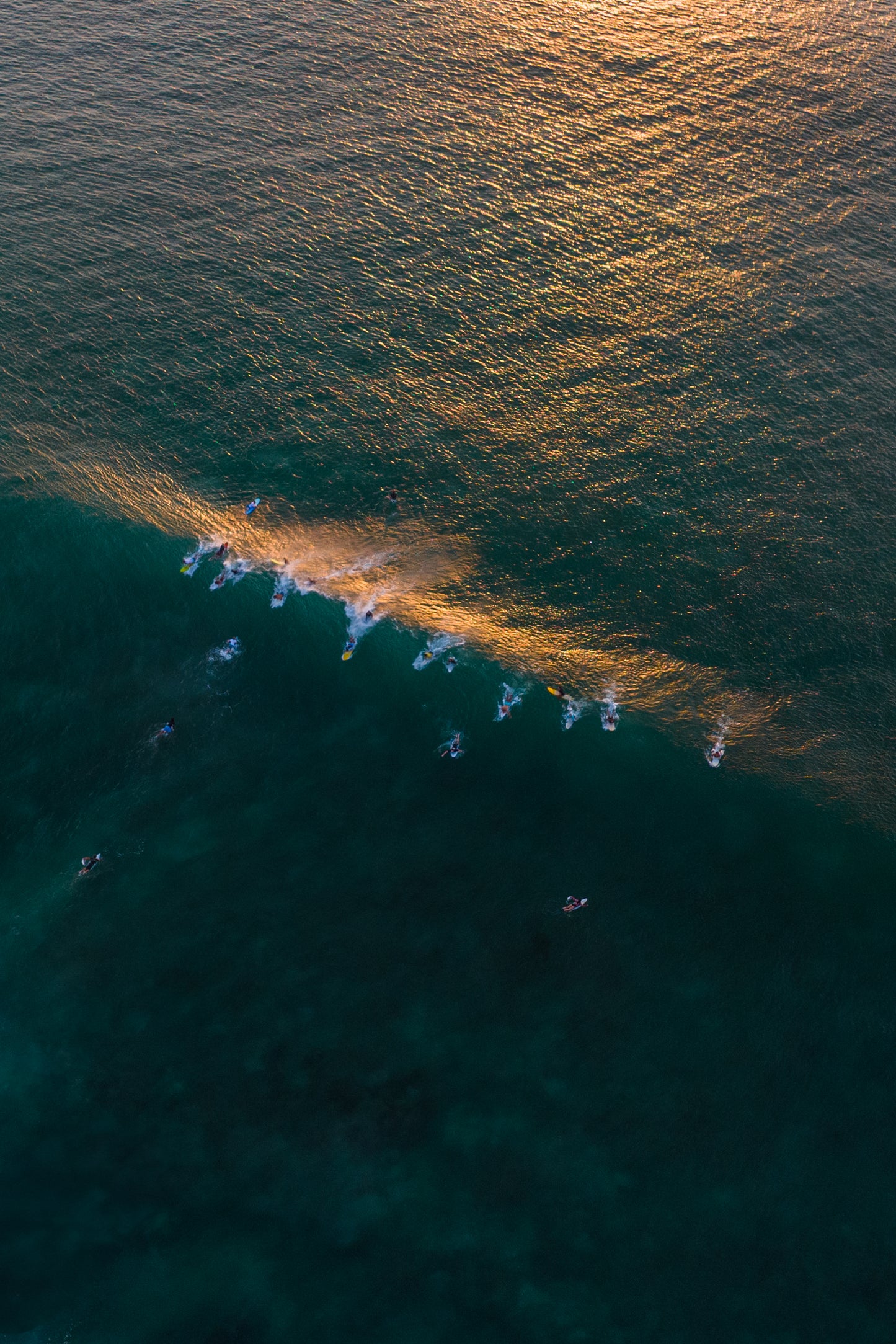Sunset line-up