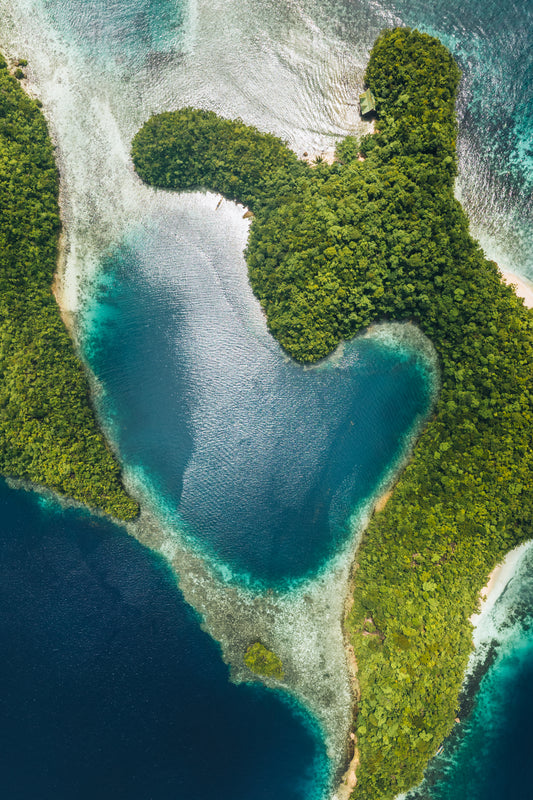Tropical heart