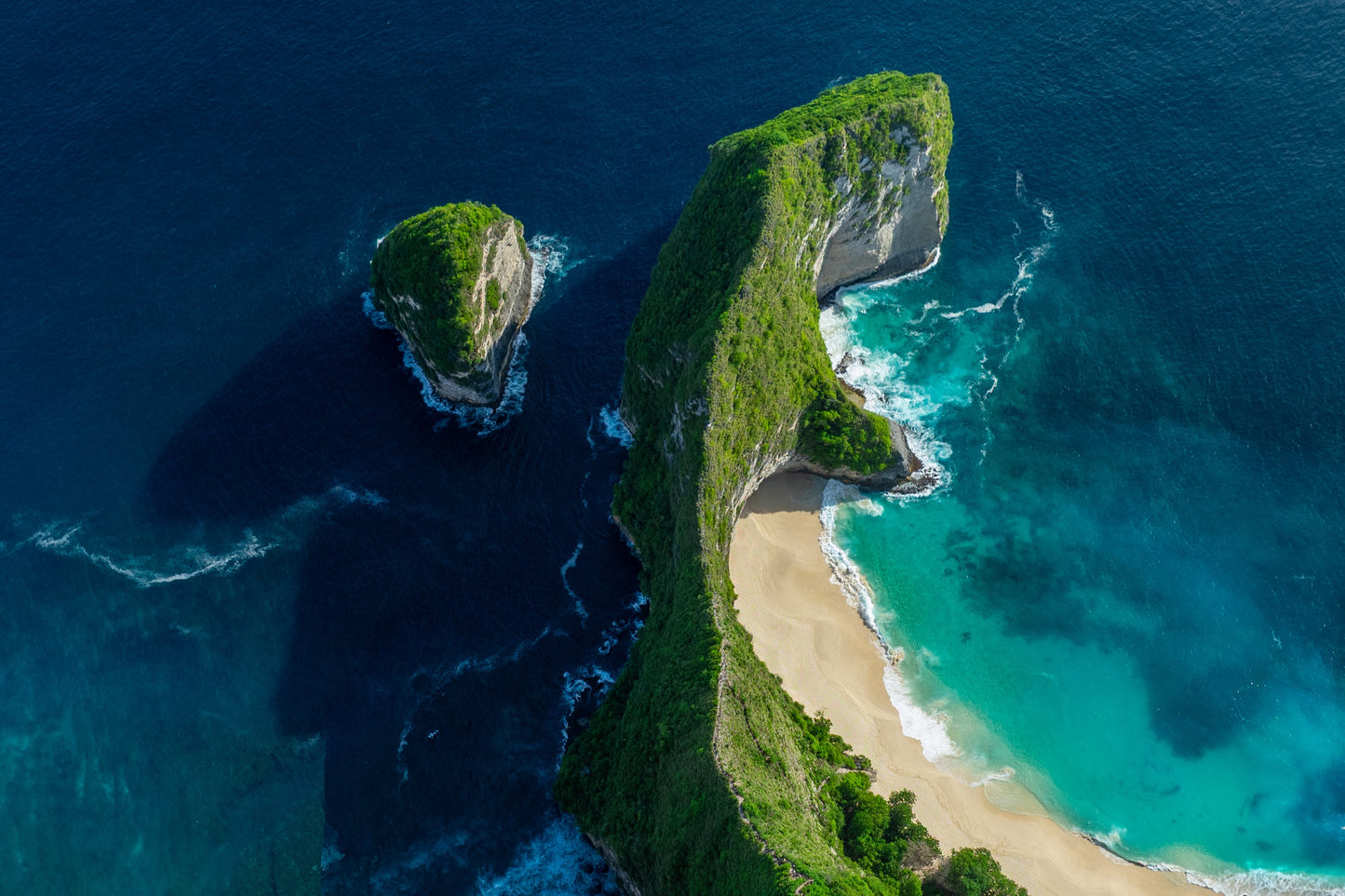 Prehistoric paradise