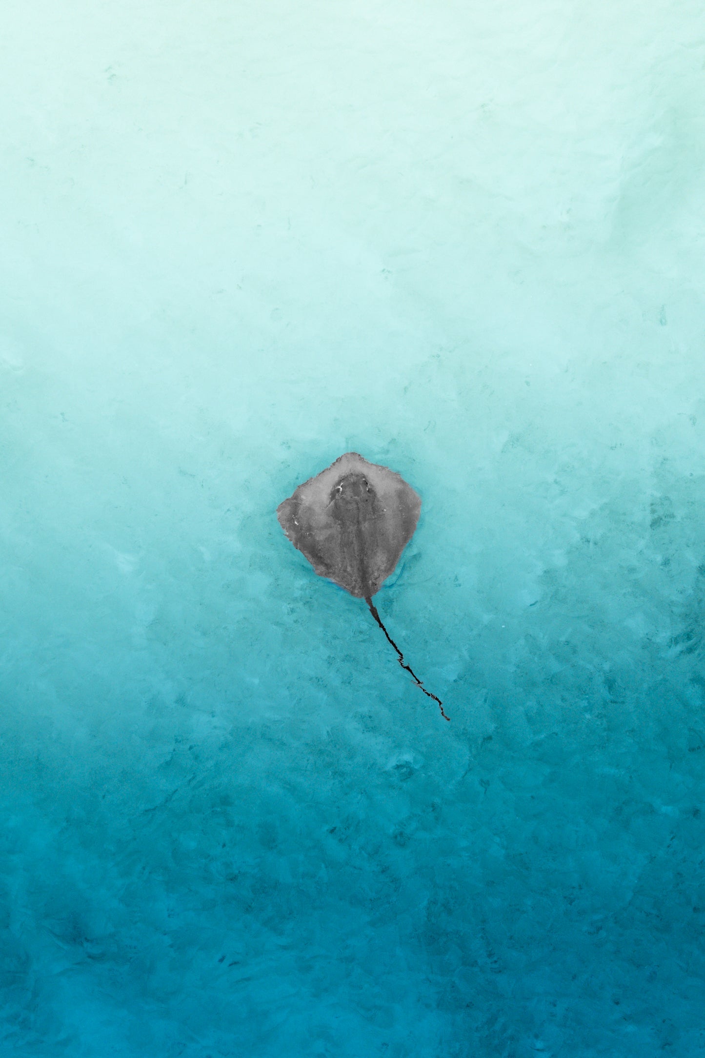 Grace in solitude