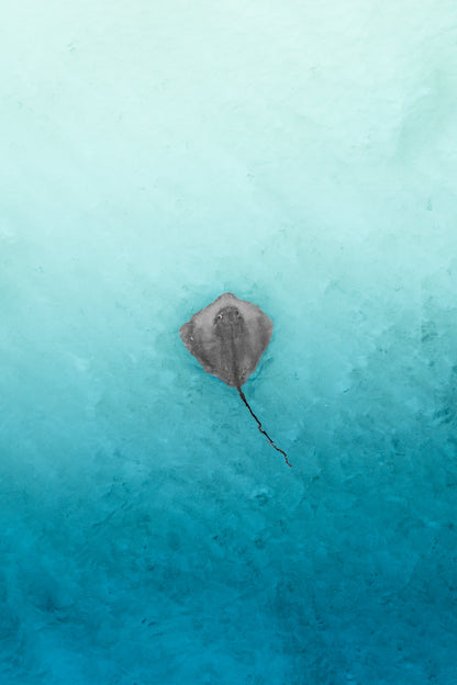 Grace in solitude