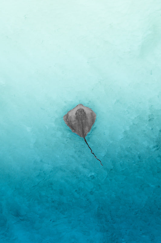 Grace in solitude