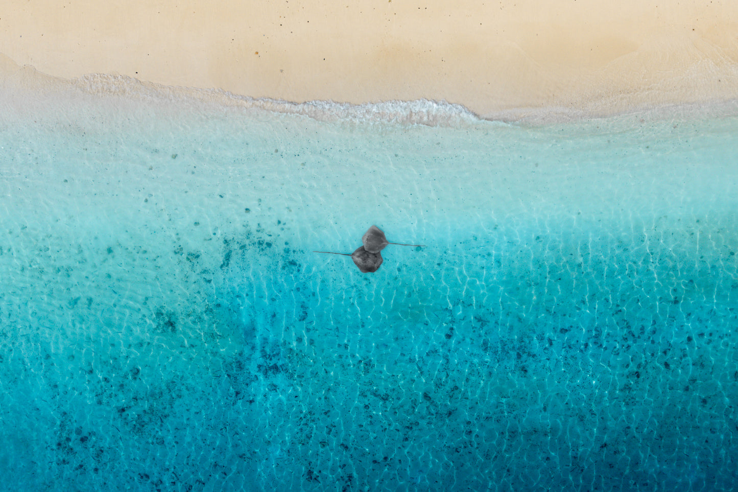 A pair in paradise