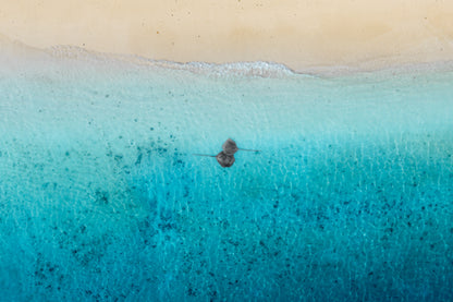 A pair in paradise